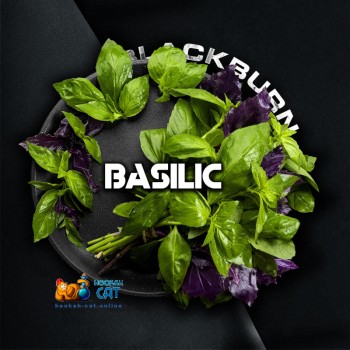 Заказать кальянный табак BlackBurn Basilic (БлэкБерн Базилик) 100г онлайн с доставкой всей России