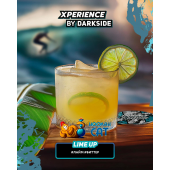 Табак Dark Side Xperience Lime Up 30г