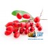 Табак для кальяна Afzal Exotic Berberis (Экзотик Барбарис) 50г 