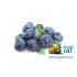 Табак для кальяна High Flex Wild Berry (Хай Флекс Дикая Ягода) 30г Акцизный