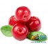 Заказать кальянный табак Spectrum Classic Sour Cranberry (Спектрум Клюква) 100г онлайн с доставкой всей России