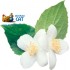 Табак для кальяна Al Fakher Jasmine (Аль Факер Жасмин) Акцизный 50г