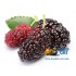 Табак для кальяна MiTs Mulberry (МиТс Шелковица) 60г Акцизный