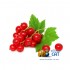 Бестабачная смесь для кальяна Jam (Джем) Красная Смородина 50г